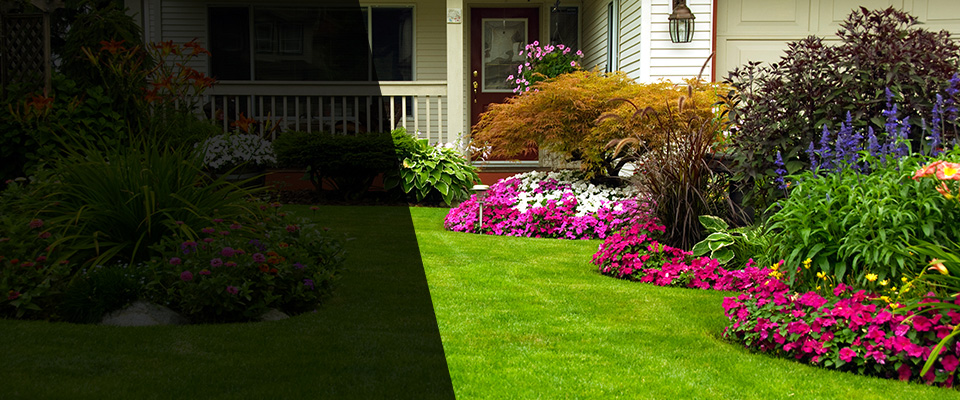 Costa Mesa Landscapers