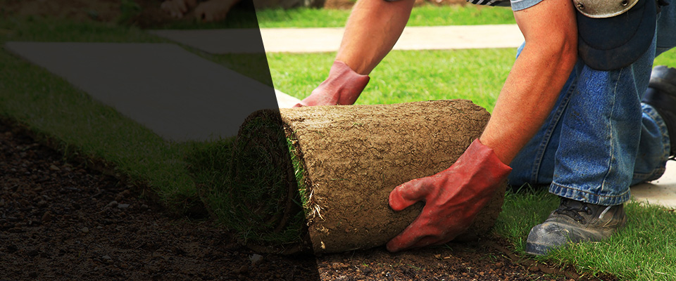 Costa Mesa Landscapers